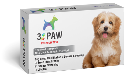 Dog Breed Identification + Disease Screening