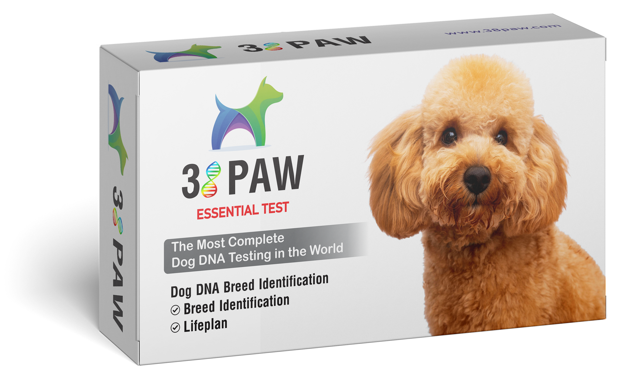 Dog DNA Breed Identification