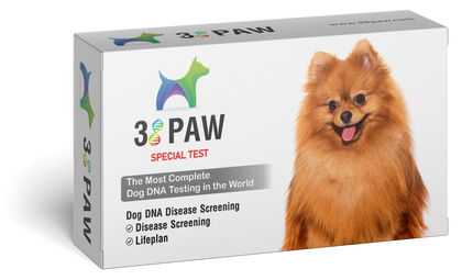 Dog DNA Disease Screening